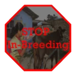 Logo of INAPH In-Breeding Check android Application 